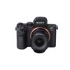 14mm f/4 FF RL Zero-D Lens - Sony FE - Afbeelding 7