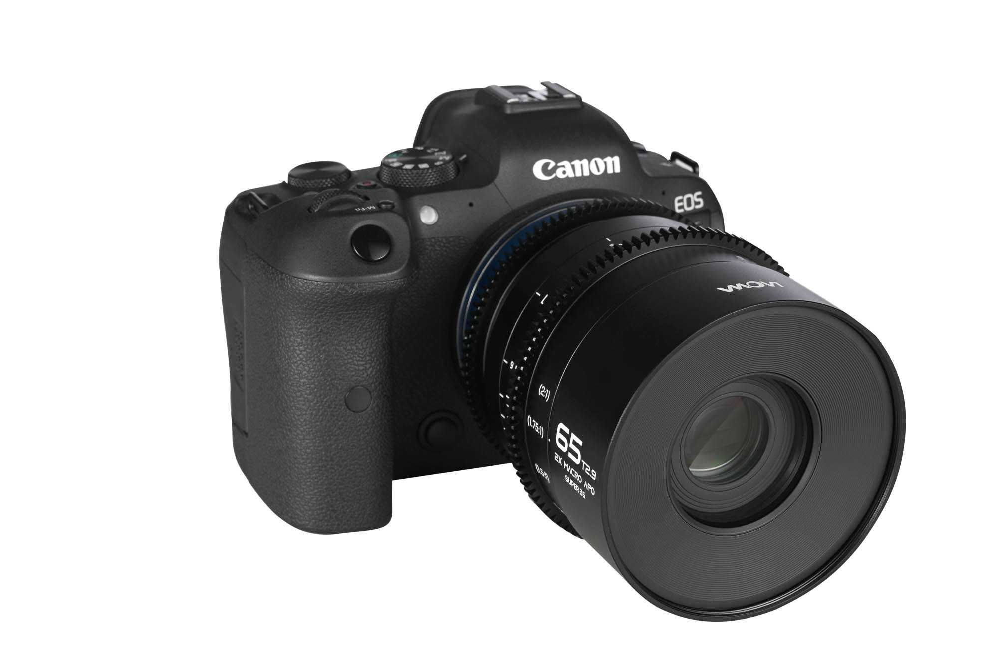 65mm T2.9 2X Macro APO Cine - Canon RF - Afbeelding 8