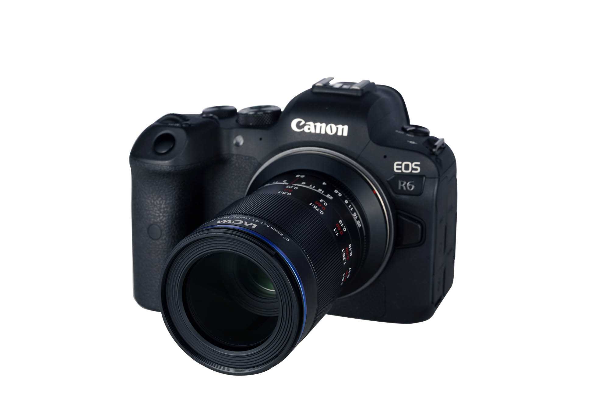 65mm f/2.8 2X Ultra-Macro Lens - Canon RF - Afbeelding 6