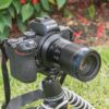 65mm f/2.8 2X Ultra-Macro Lens - Nikon Z - Afbeelding 3