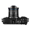 7.5mm f/2 - Zilver - MFT - Afbeelding 15